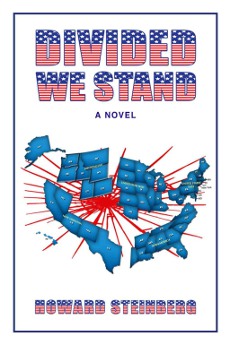 Divided We Stand cover image